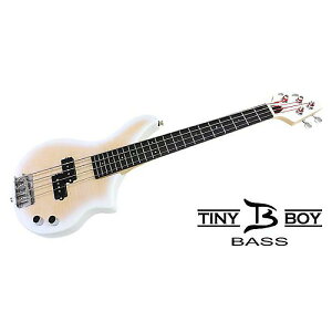 TINYBOY ( ^Cj[{[C ) / TBP-3400WFM RpNgEGLx[Xċx݃Z[