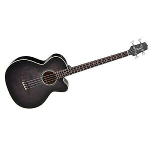 TAKAMINE ( ^J~l ) / PB-5 SBLċx݃Z[