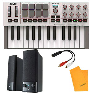 3Tt y{̃O[+}`fBAXs[J[ZbgzAKAI(AJC) / MPK Mini IV Grey_MM-SPL2N3_MN200Op4_setubNtCf[