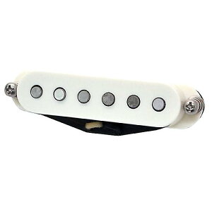 SUHR ( �T�[ ) / V63 Middle Parchment�ċx�X�y�V����