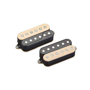 FISHMAN ( tBbV} ) / Fluence Open Core Classic HB Set ZebraċxXyV