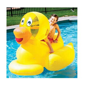 Swimline / Giant Ducky _bN Aq  XCC COiubNtCf[