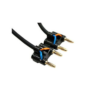 CLASSIC PRO ( �N���V�b�N�v�� ) / SBB10�ċx�X�y�V����