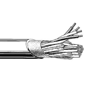 CANARE ( Ji ) / S410-4P 100mċxXyV