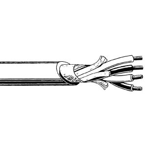 CANARE ( カナレ ) / 4S6-EM 200m夏休スペシャル