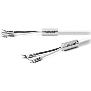 OYAIDE ( ICf ) / TUNAMI II SP-Y V2/3.0 PairċxXyV