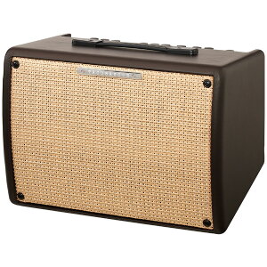 Ibanez(ACoj[Y) / Troubadour T30II [GAR&ENp R{Av 30Wo] o^C Z[