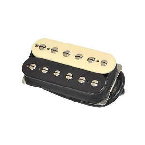 SUHR ( �T�[ ) / DSH+ ZEBRA 50mm�ċx�X�y�V����