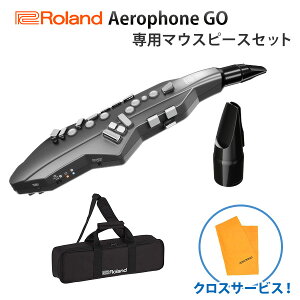 y}EXs[XZbgz Roland([h) / Aerophone GO (AE-05) - GAtH / EBhEVZTCU [