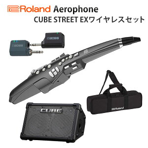 \񁡁yCUBE STREET EXCXZbgz Roland([h) / Aerophone (AE-10G) Ot@CgEubN - GAtH / EBhEVZTCU [nEB[Z[/nEBObY