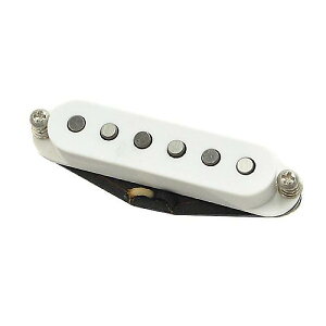 SUHR ( �T�[ ) / V63 Middle White�ċx�X�y�V����