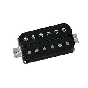 Freedom Custom Guitar ( �t���[�_���J�X�^���M�^�[���T�[�` ) / Hybrid Humbucker Type I Pitch for G Bridge Black�ċx�X�y�V����