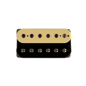 SUHR ( �T�[ ) / Woodbucker Neck Zebra�ċx�X�y�V����