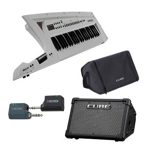 yCUBE STREET EXCXZbgz Roland([h) / AX-EDGE-W / CUBE-STEX / WL-20L zCg 49 - V_[EL[{[h -nEB[Z[/nEBObY