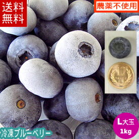 冷凍ブルーベリー（サイズ各種）1kg【送料無料】国産!【農薬不使用】岩手県遠野市産　大粒の冷凍ブルーベリー【RCP】【送料込み】無農薬 大粒 アントシアニン 産地直送 完熟 お取り寄せ ギフト 安心 安全 フルーツ 農園※沖縄・離島は送料無料の適用外
