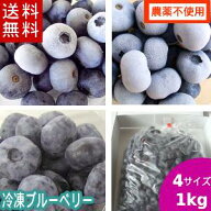 冷凍ブルーベリー（サイズ各種）1kg【送料無料】国産!【農薬不使用】岩手県遠野市産　大粒の冷凍ブルーベ…