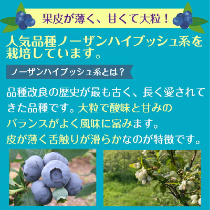 楽天市場】【送料無料】ブルーベリー原液(500ml) 農薬不使用 添加物不 