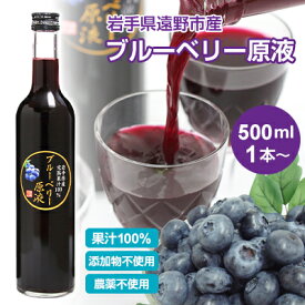 【送料無料】ブルーベリー原液(500ml)　農薬不使用 添加物不使用 岩手県産 国産 砂糖無添加 ストレート ブルーベリージュース 100％ ストレート果汁 果汁100％ 高濃度 ストレートジュース ギフト お取り寄せ お取り寄せギフト プレゼント サプリメント サプリ