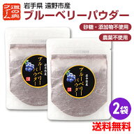 【大特価！1000円ポッキリ】ブルーベリーパウダー20g×2【送料無料】岩手県遠野市産ブルーベリー使用　農…