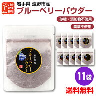 【超お得な大特価！5000円ポッキリ】ブルーベリーパウダー20g×10袋+1袋岩手県遠野市産ブルーベリー使用…
