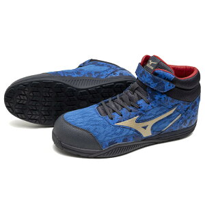 I[}CeBSD II 13H F1GA2411