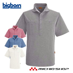 ƕ bigborn rbO{[ SWW |Vc(YEfB[Xp) t 傫TCY4LE5L SW536