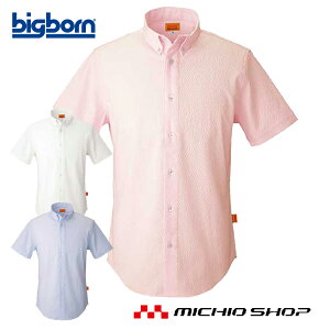 ƕ bigborn rbO{[ SWW Vc(YEfB[Xp) t 傫TCY4LE5L SW558