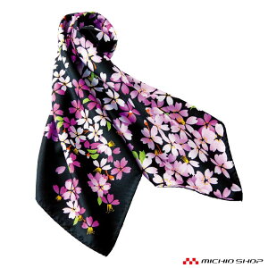 [䂤pPbg]  jtH[ BONMAX {}bNX XJ[t t