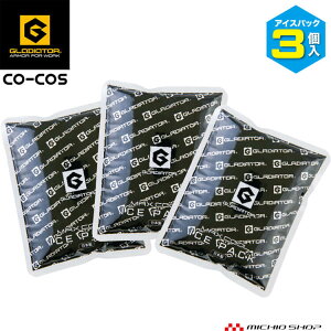 ACXpbN(ۗ)3Zbg GI-404 {gACX OfBG[^[ R[RX 2025NtĐV