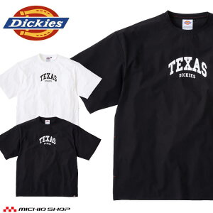 Dickies fBbL[Y ⊴TCh|Pbg TVc [YtBbg D-467 CO-COS R[RX ƕ 2025NtĐV