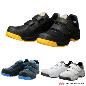 SC DONKEL hP Dynasty vtFbViDYPR-11M DYPR-22M DYPR-24M