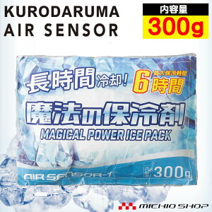 @ۗ̕300g 013 ACXxXgp N_} GA[ZT[ ԗp MǑ΍ 2025NtĐV