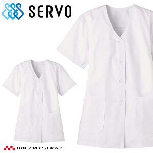 HiHꔒ ܖ  FA332 p fB[X T[H SERVO t[ht@Ng[ HT[rX  jtH[