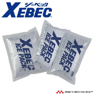 ۗ(A~^Cv) 33012 3Zbg ACXxXgp W[xbN XEBEC 2025NtĐV