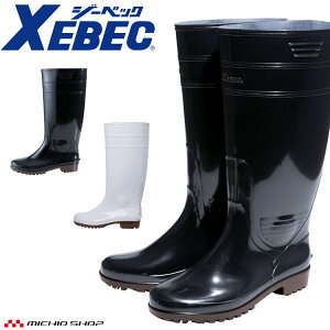 ƒC XEBEC W[xbN O䒷C 85766 cȂf ϖ ϊ 2025NtĐV