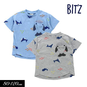 NAXZ[50OFF2024āyBIT'Z/rbczNWhJ TVc80cm 90cm 95cm 100cm 110cm 120cm q LbY j̎q ̎q j  qǂ V ĕo[Q DAY4