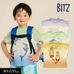 NAXZ[50OFF2024āyBIT'Z/rbcz3C̓grAvg TVciV[tj80cm 90cm 95cm 100cm 110cm 120cm q LbY j̎q ̎q j  qǂ V