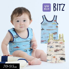 2024夏【BIT'Z/ビッツ】サメ図鑑 総柄 グレコ水着_UVカット≪80cm 90cm 95cm≫子供服 キッズ 男の子 男児 子ども スイム 水着≪店頭受取対応商品≫