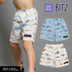 �T�}�[�Z�[����50��OFF���yBIT'Z/�r�b�c�z�T���}�� ���� �g�����N�X����_UV�J�b�g��80cm 90cm 100cm 110cm 120cm 130cm 140cm��q���� �L�b�Y �j�̎q �j�� �q�ǂ� �X�C�� ������X�����Ή����i�� 24��