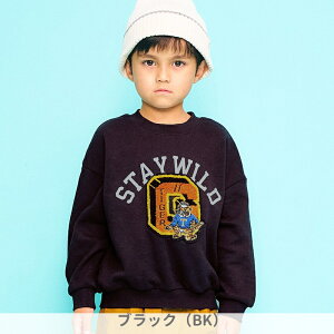 10OFF2025H~styF.O.KIDS/GtI[LbYz3F TK hJ g[i[80cm 90cm 100cm 110cm 120cm 130cm 140cmq LbY ̎q j̎q  j qǂ  XDFbg ʉʊw V u