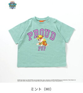 Z[40OFF2025ā@pEEpg[ oG[V TVc90cm 100cm 110cm 120cm 130cmj̎q ̎q BREEZE u[Y q LbY xr[  gbvX  ĕ ĕ GtI[ FO