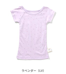 2025āyampersand/ApThzڃCi[  80cm 90cm 95cm 100cm 110cm 120cm 130cm 140cmLbY xr[  Vc TVc  킢 ̎q V[gX[u