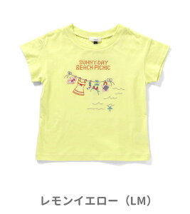 Z[40OFF2025āySeraph/Ztz][g`[t hJ TVc80cm 90cm 100cm 110cm 120cm 130cm 140cmq LbY ̎q  qǂ ubNtCf[