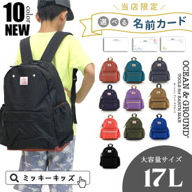 あす楽！＼再入荷／＜クーポンご利用不可＞お任せ配送限定送料無料！定番！t【Ocean＆Ground/オーシャンアンドグラウンド】デイパック 無地/リュック≪Lサイズ≫ オーシャン＆グラウンド