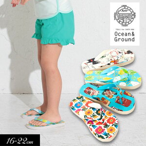 SALE40OFF`O390~2024āyOceanGround/I[VAhOEhz r[`T_16cm 17cm 18cm 19cm 20cm 21cm 22cmq LbY ̎q j̎q  j qǂ XC
