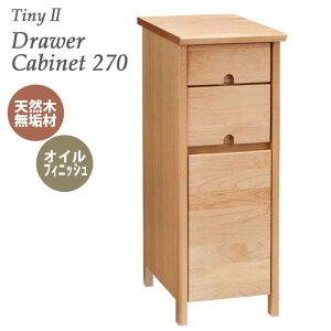 fXNTCh hA[ Lrlbg 270 27cm VR؃A_[ ICdグ i` tiny II ^Cj[2 z[ItBX  k V ICh e TChLrlbg