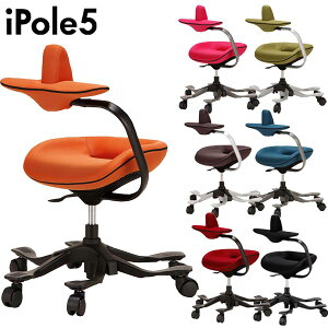 Jݒu iPole5 AC|[ Eh`FA STCY e[N [g[N OA`FA[ p\R`FA PC`FA SOHO ItBX`FA[ bVt@ubN sN IW O[ u