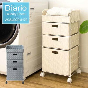 h[`FXg Diario fBAI ⏝ɋ̂ lH^ ^`FXg  RB-358 LX^[t y