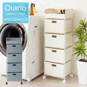 h[`FXg Diario fBAI ⏝ɋ̂ lH^ ^`FXg  RB-360 LX^[t y