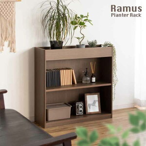 v^[bN Ramusi[Xj75cm [ bN ubNVFt v^[ v^[X^h t[X^h v^[VFt A ϗtA u Aؔ k _ [